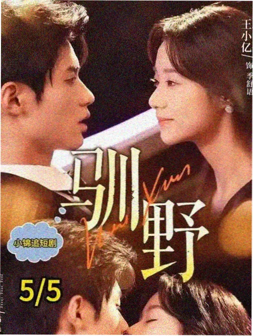 剧集解析